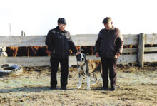 Хуторок в степи